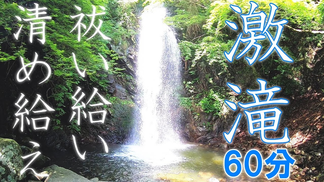 強力な滝浄化動画 白藤の滝三重県 自分大好きもっちー スピリチュアルyoutuber 講師 講演家